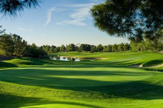 Raven golf club