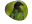 plumage green