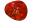 autumn foliage