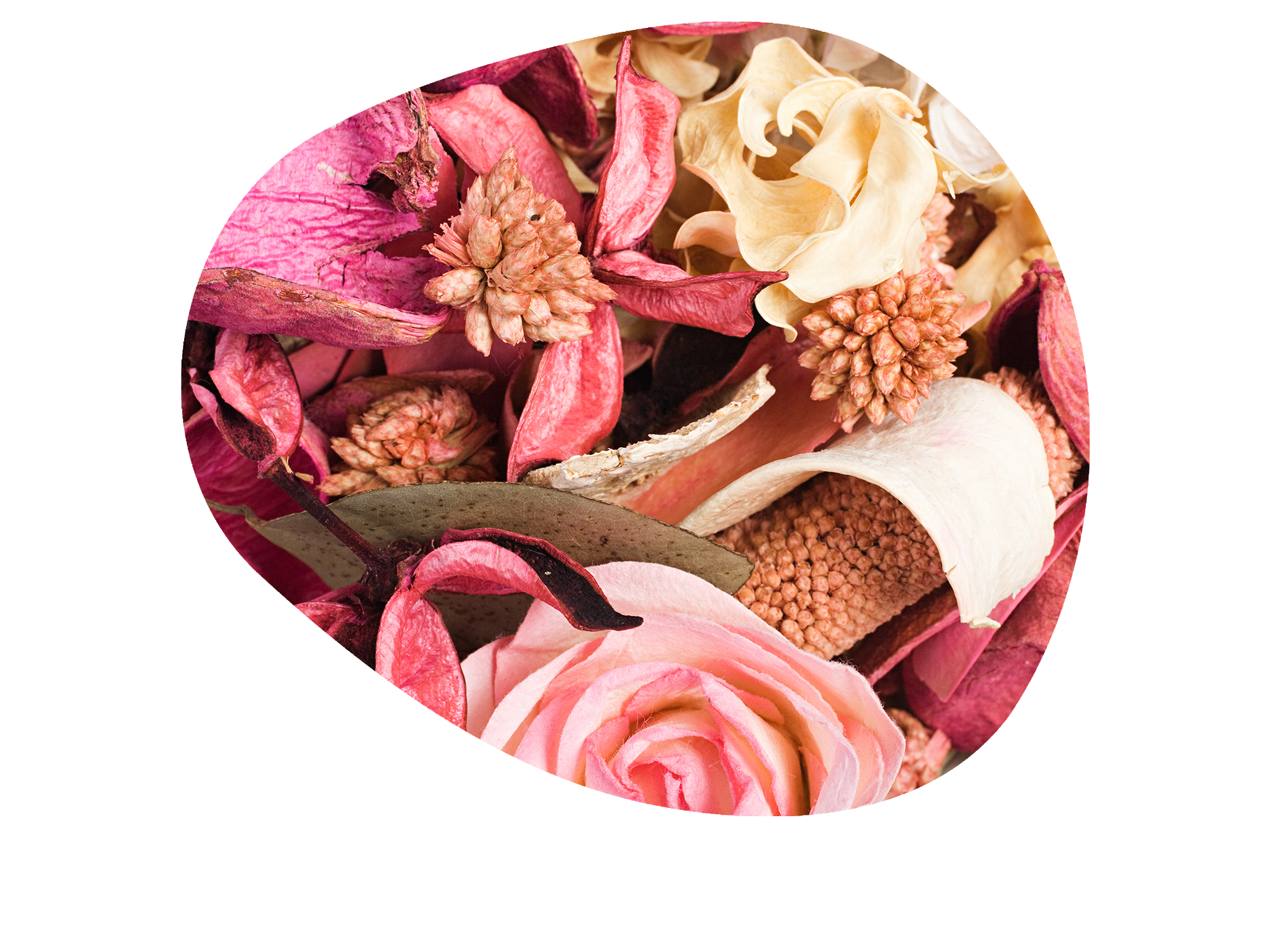 summer potpourri