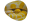 mesmerizing serpent yellow