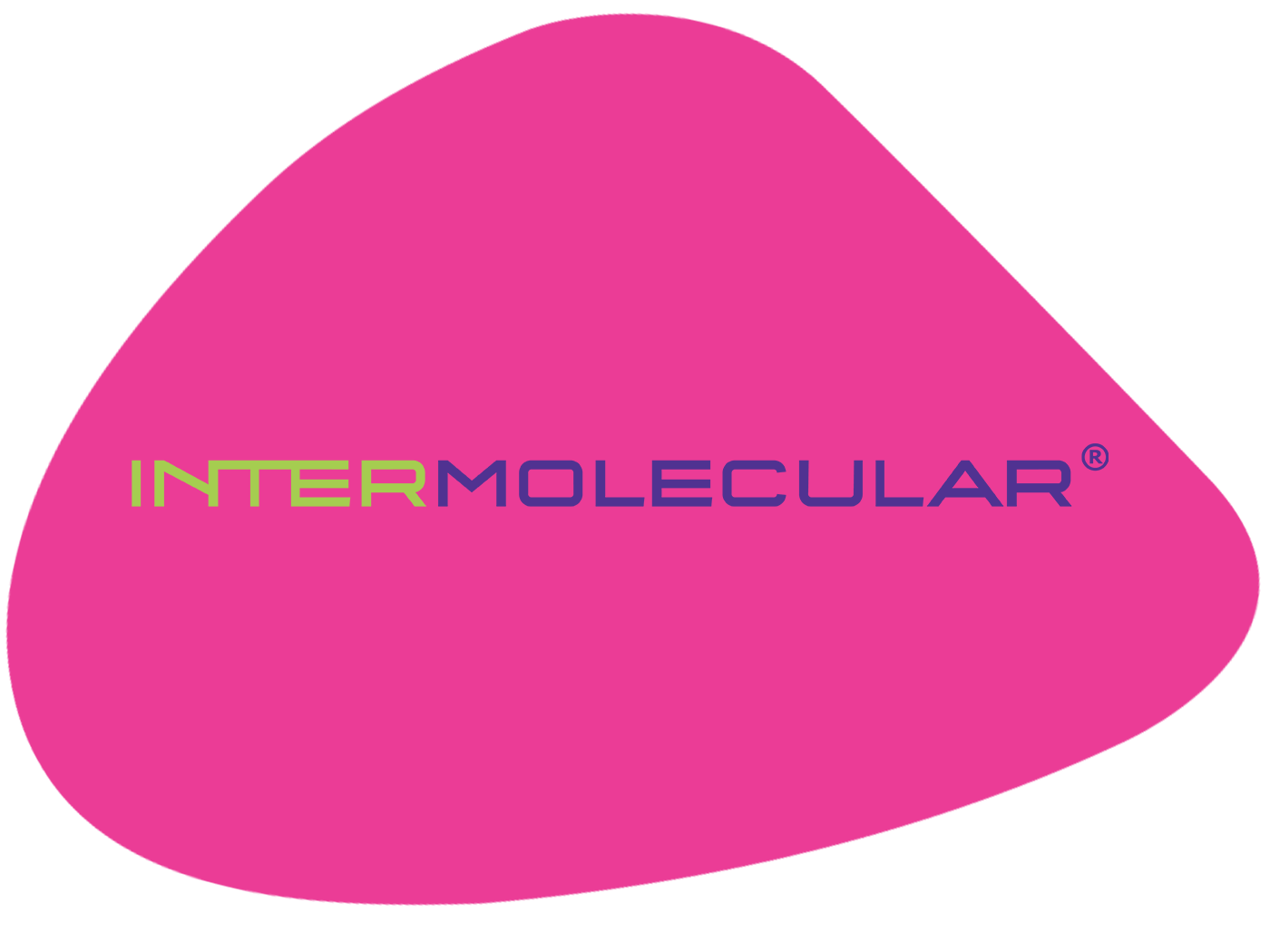 IMI Logo