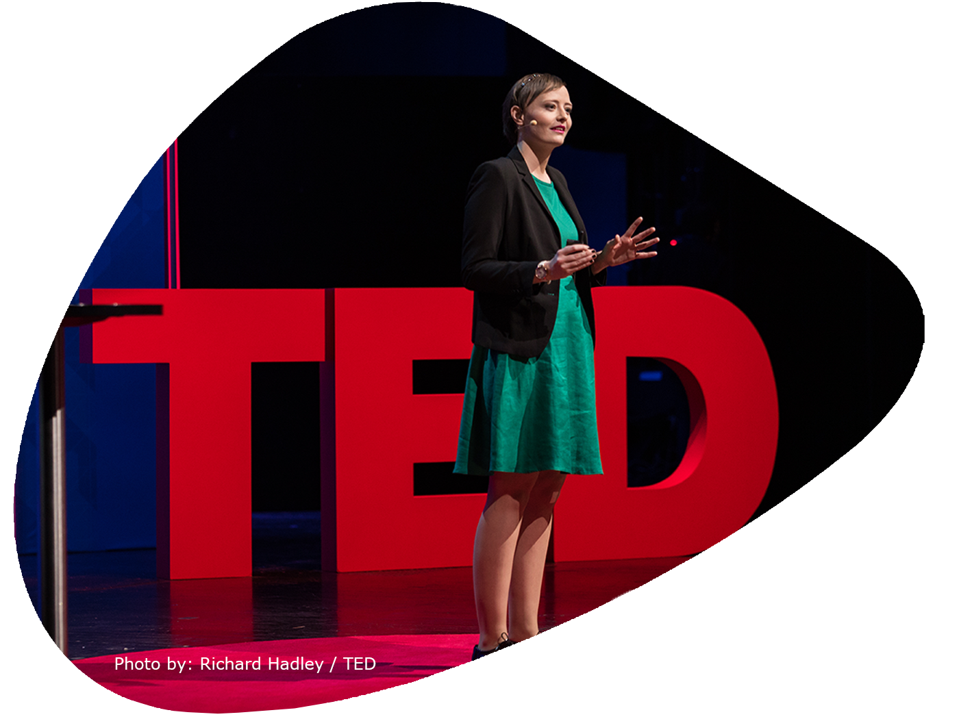 TED talk Sarah Kein