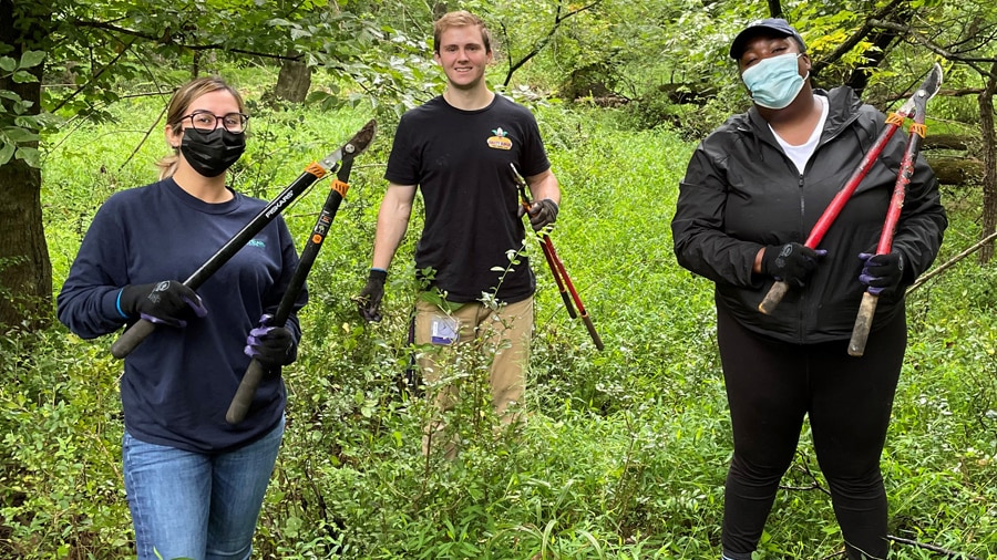 Jobs in Rockville, MD