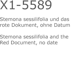 X1 5589 Txt