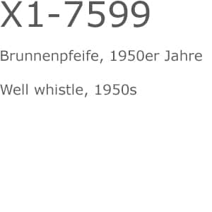 X1 7599 Txt