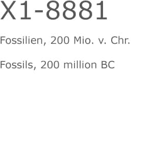 X1 8881 Txt