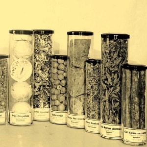 Dried natural