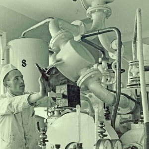 Organ Therapy