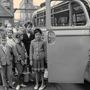 Social welfare tasks img