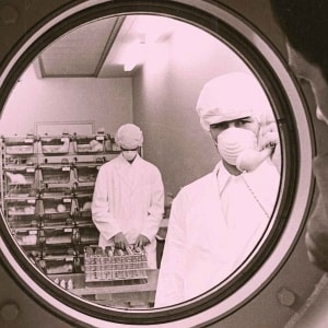 Toxicological studies