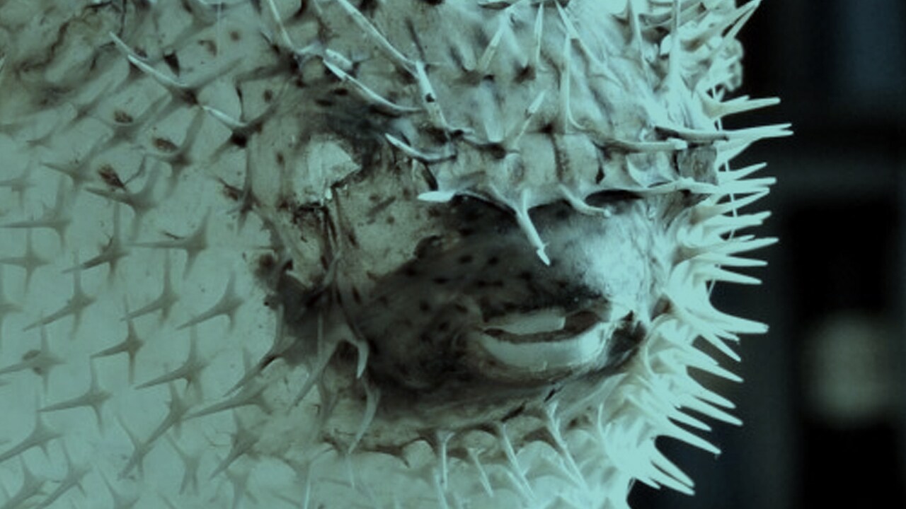 Artzenei