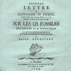 Stories J1 07