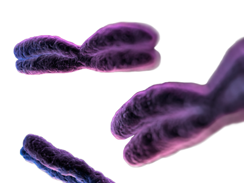 crispr-right