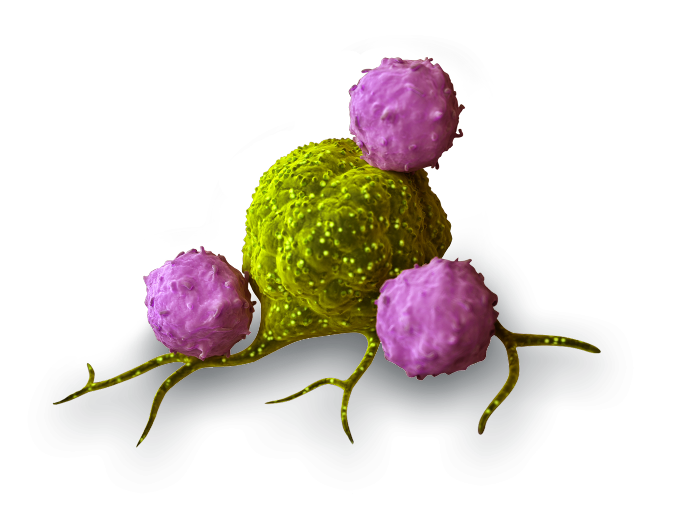 Team Immuno-Oncology