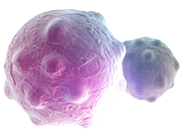 cancer cells
