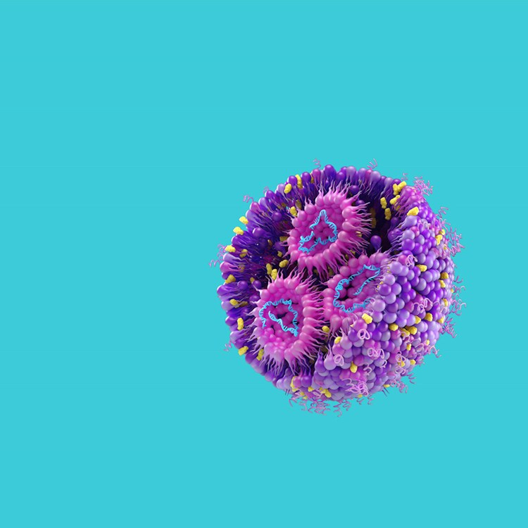 Covid-19 Virus