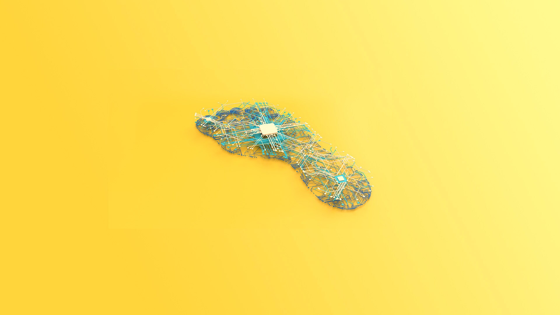 Foot Print