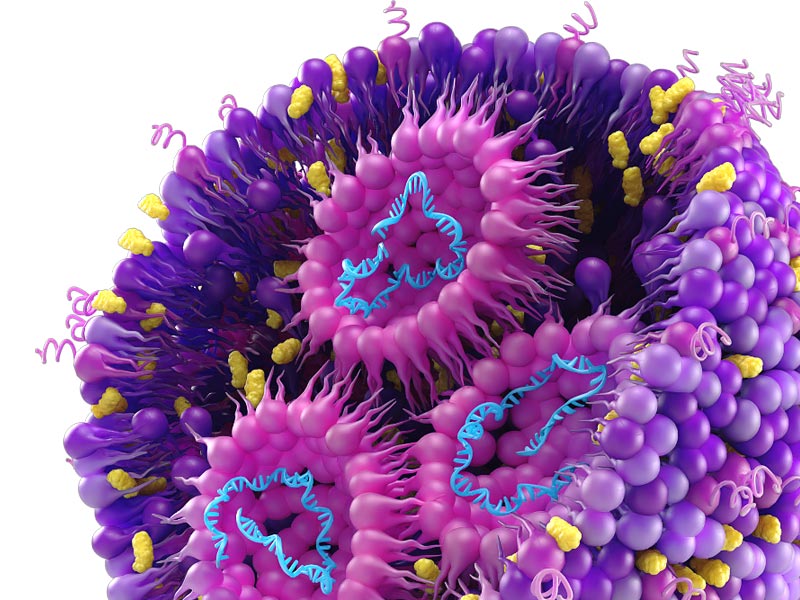 Illustration of Covid Virus
