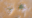 MICROBIOTIFUL EPONGE 2