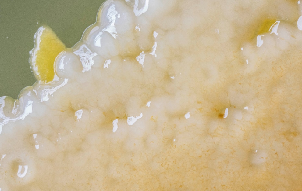 MICROBIOTIFUL EPONGE 3