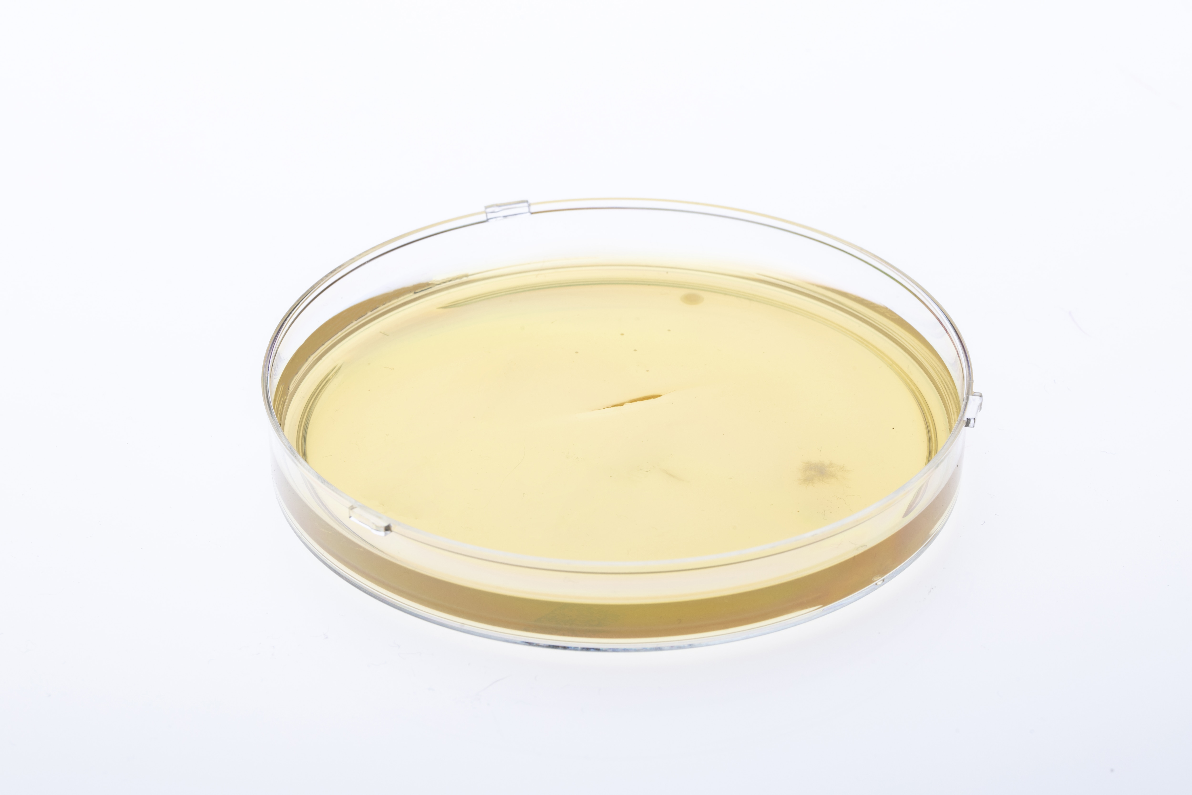 MICROBIOTIFUL SAC A MAIN 1