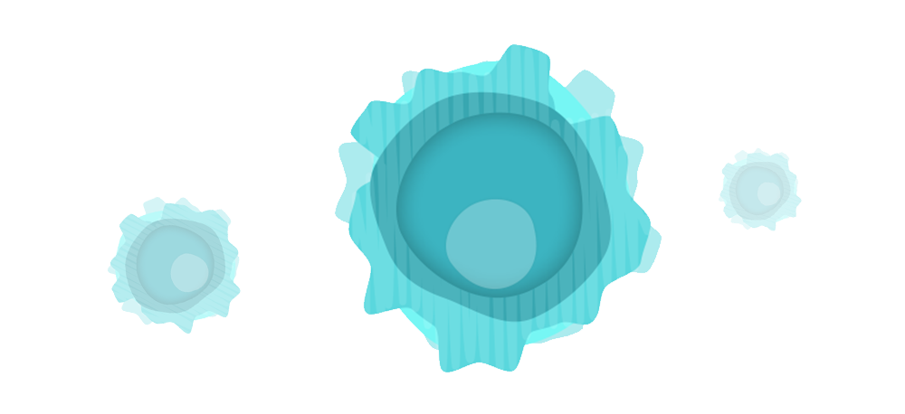  Understanding the Science behind MS, B Cells