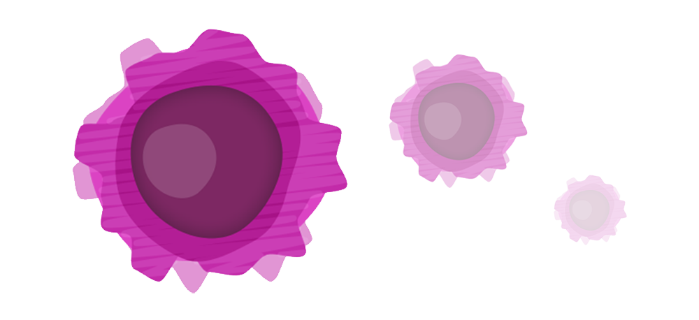  Understanding the Science behind MS, T Cells
