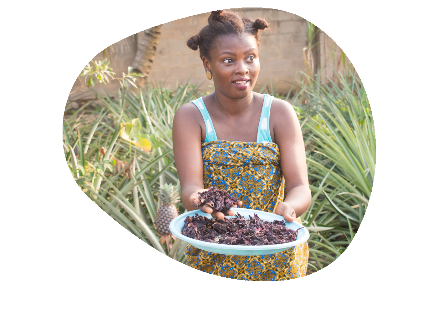 fairtrade
