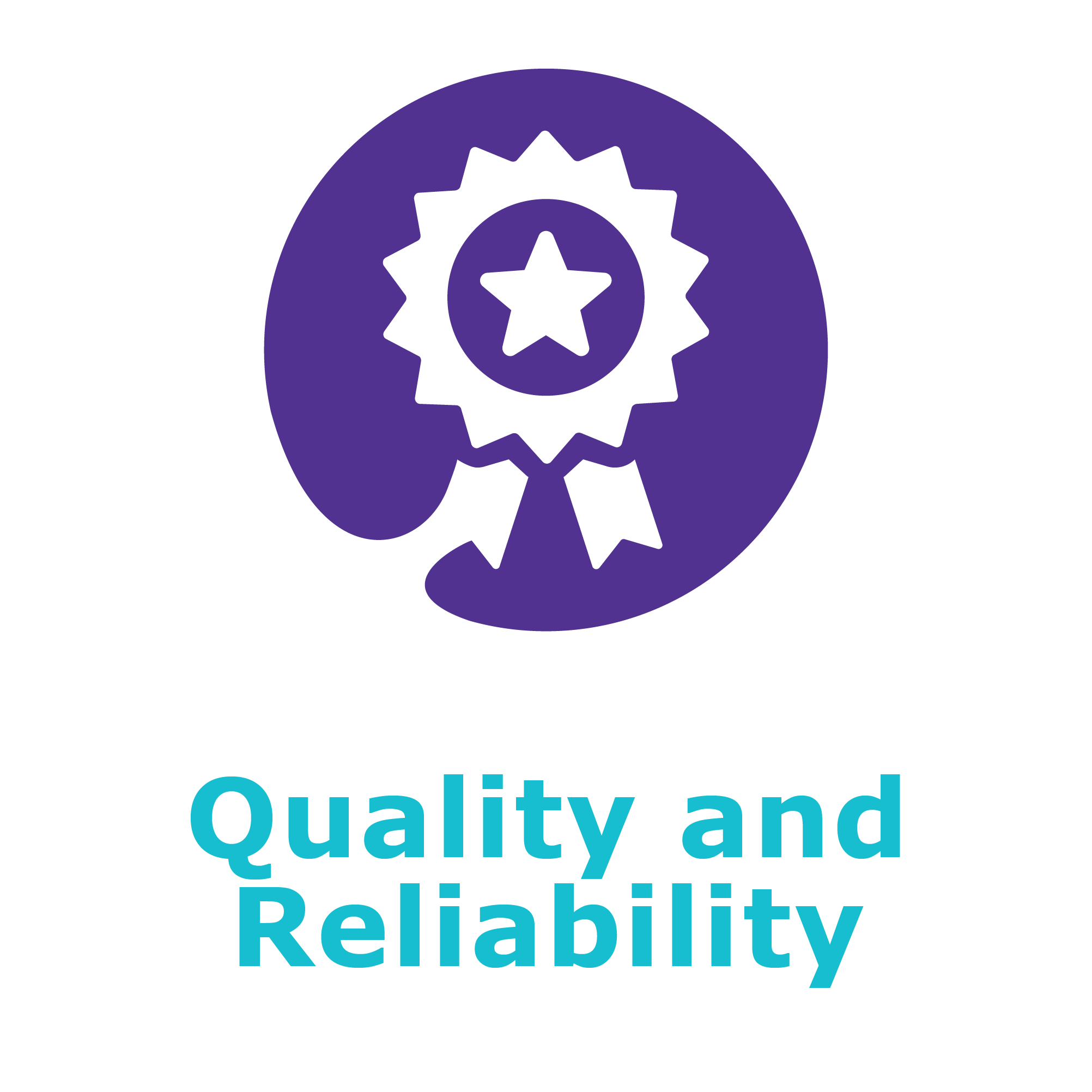 Quality and Reliability Icon