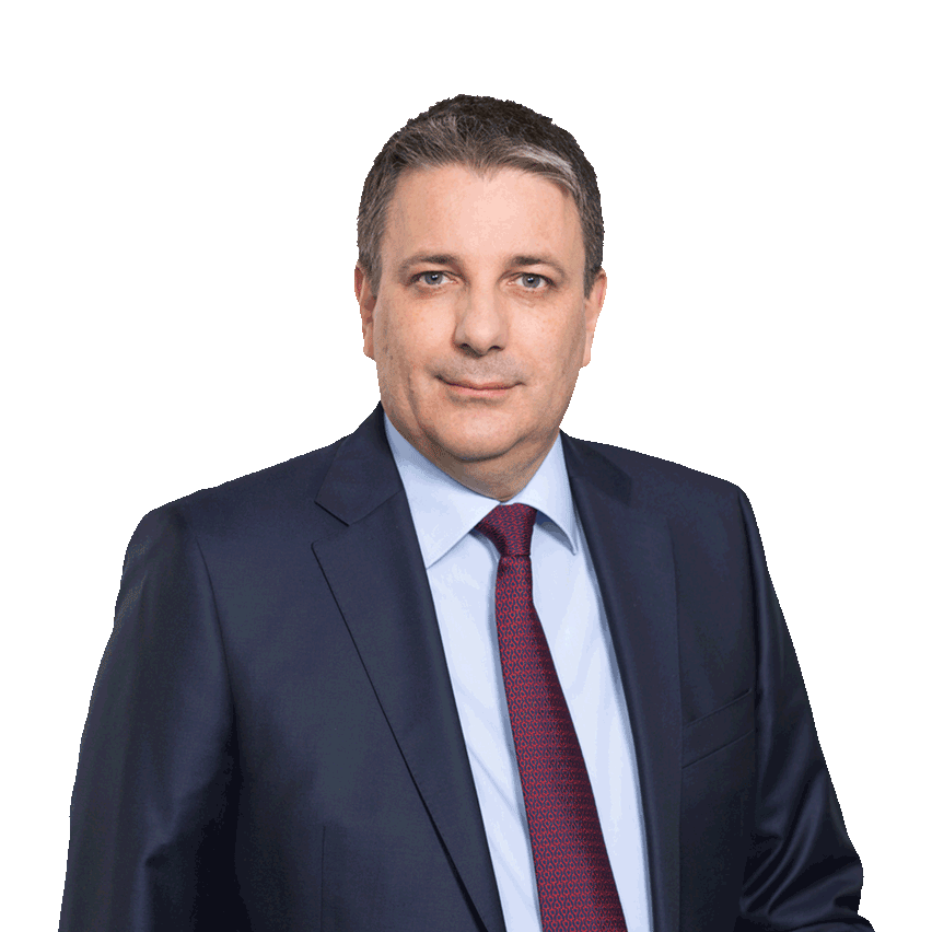 Member of the Executive Board of Merck KGaA, Darmstadt, Germany and CEO EMD Electronics