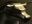 A closeup of a bronze casting depicting a stylized bull in contrasting light representing a bull financial market on a isolated dark background