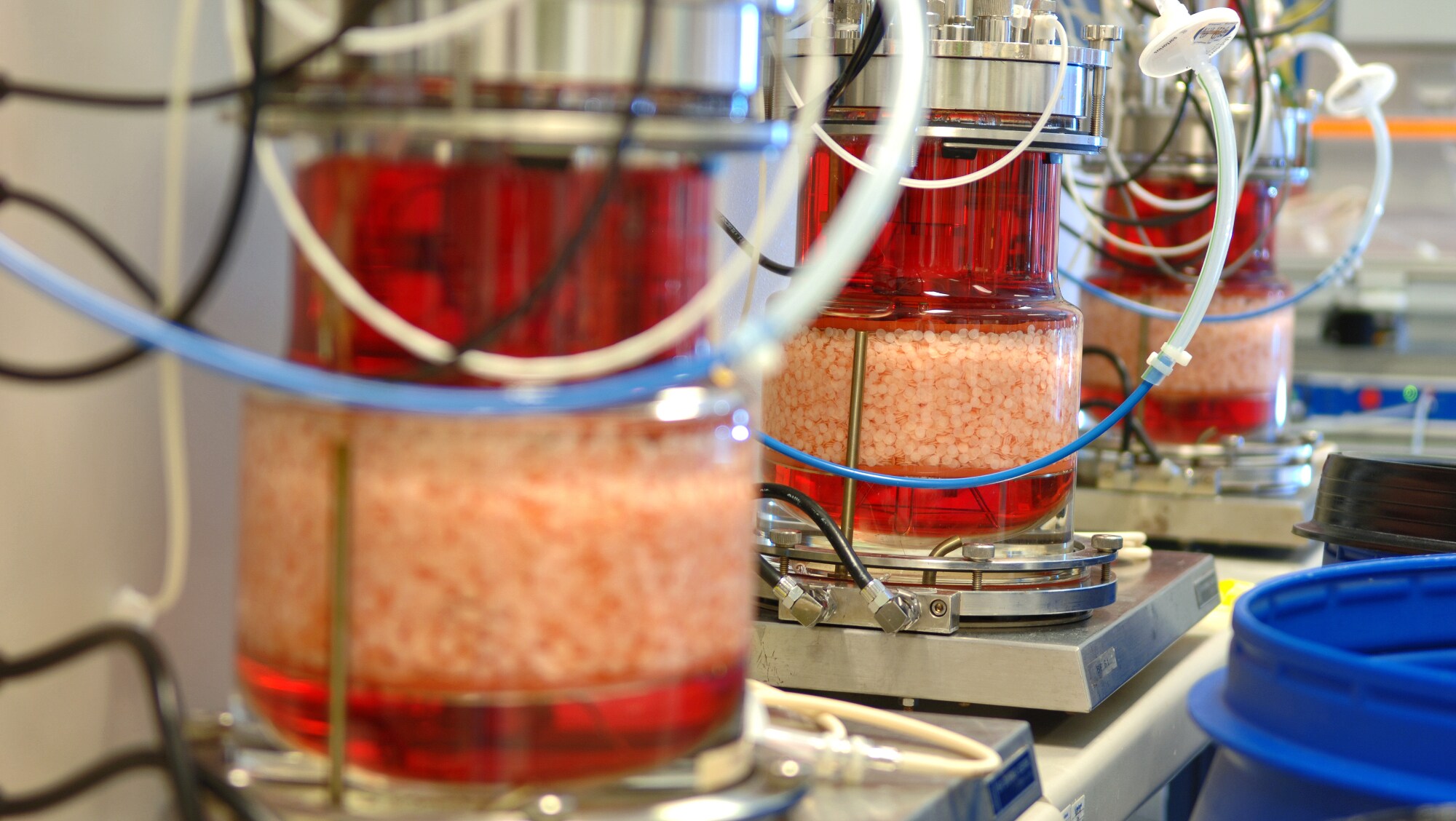 Biotechnology in a protein production laboratory in Corsier-sur-Vevey
