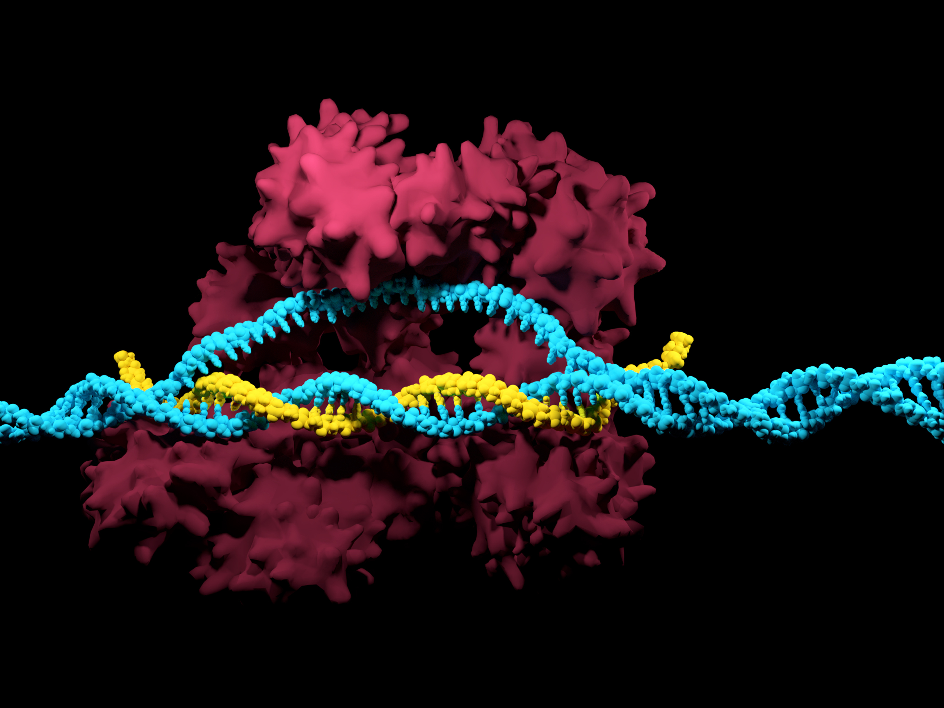 Изменение генома клетки. CRISPR cas9 технология. Редактирование генома с CRISPR/cas9. Технология редактирования генома CRISPR/cas9. Технология редактирования генов CRISPR/cas9.