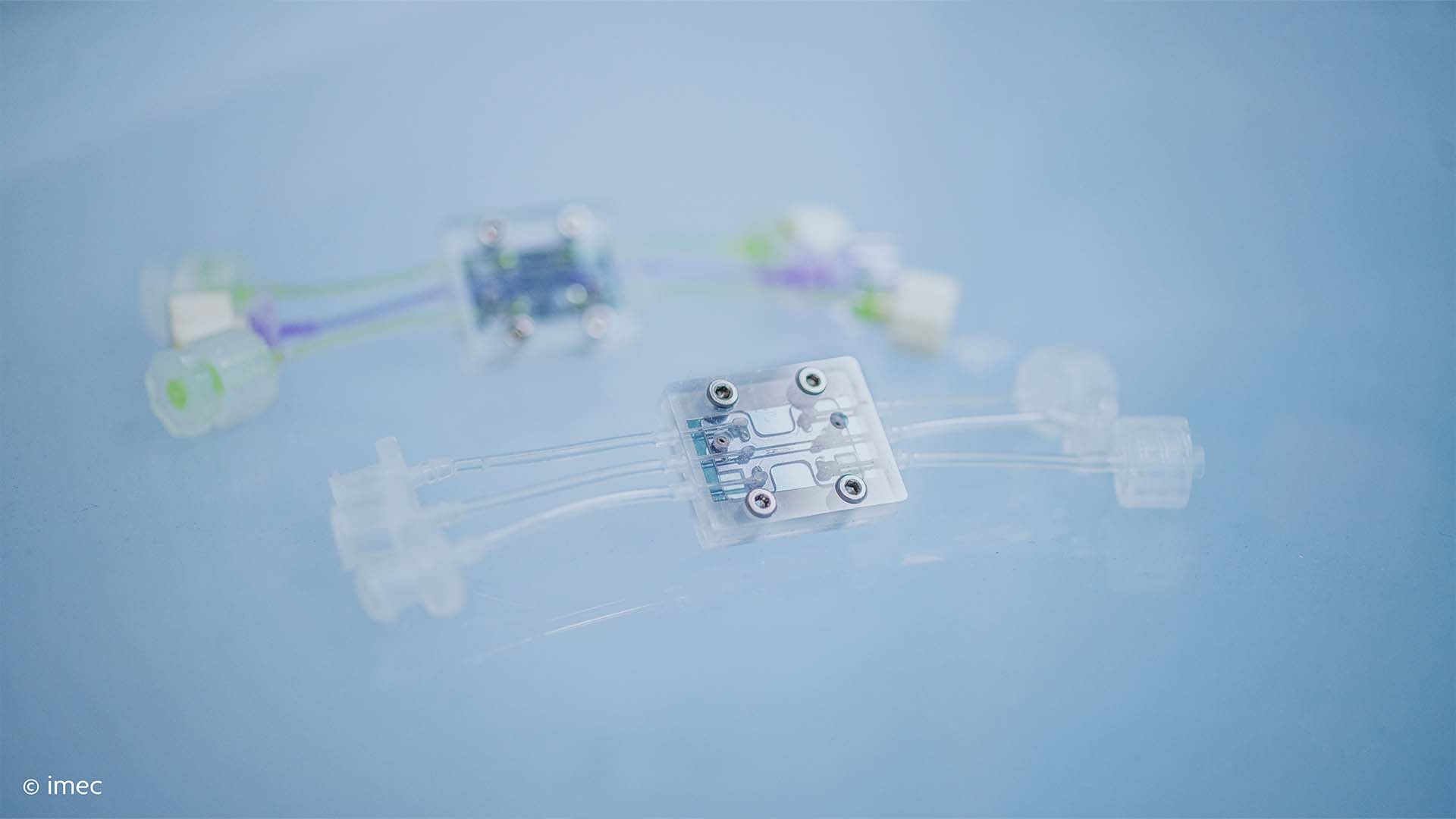Collaboration with imec to Develop Disruptive Microphysiological ...