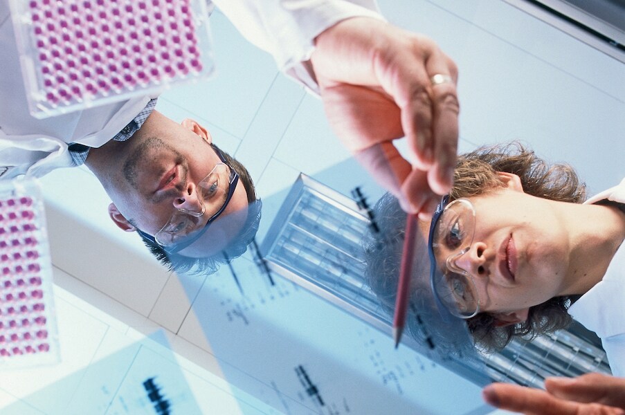 researchers R&D compounds