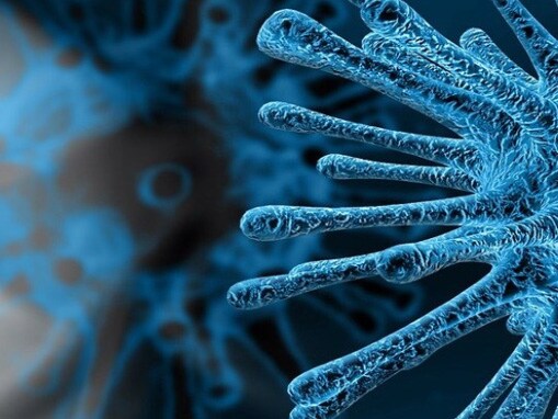 pandemic preparedness research grant