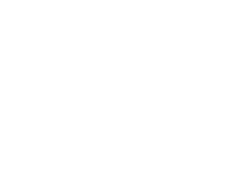 Partnership