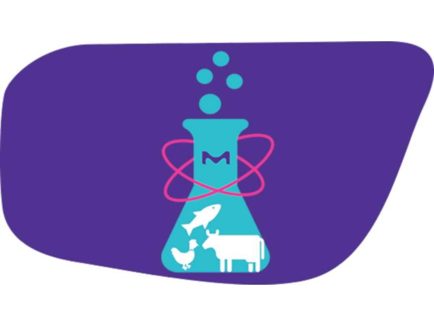 Innovation Field “Clean Meat”