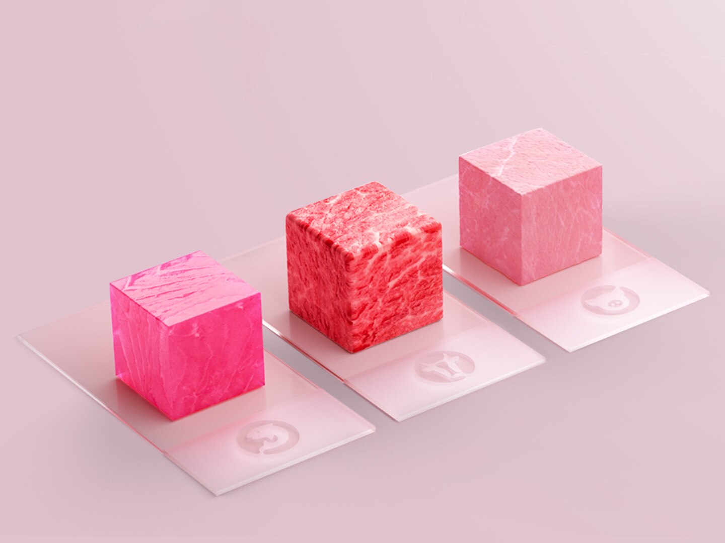 Cultured Meat Innovation Field – Innovation Center | Merck KGaA