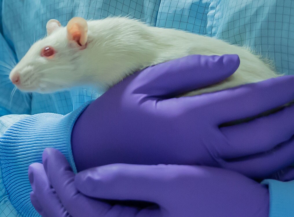 Seal of quality for transparent communication on animal testing