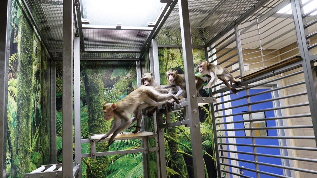 Animal Welfare Our Animals06