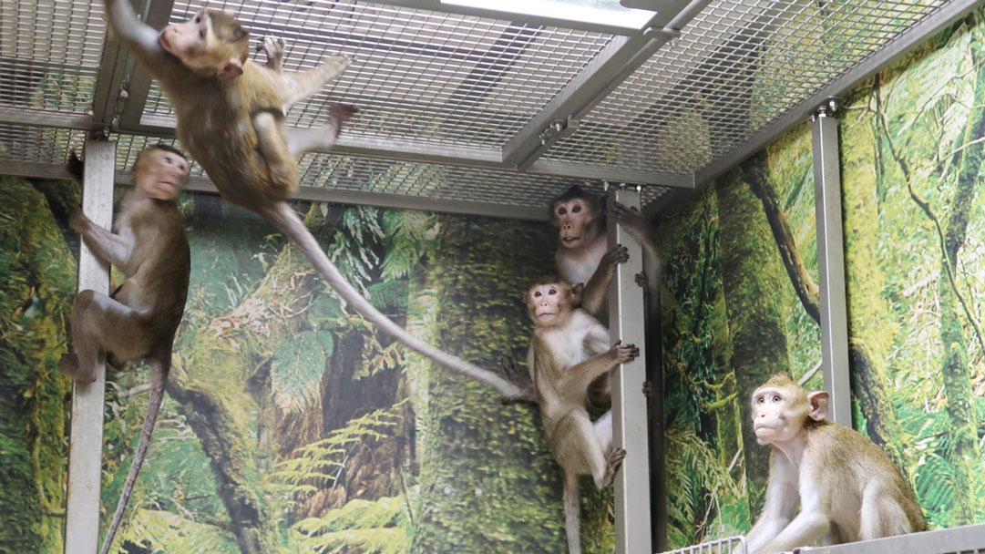 Animal Welfare Our Animals07