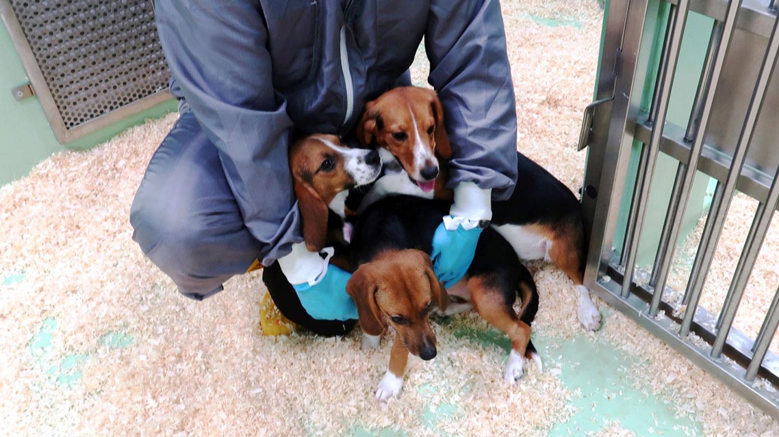 Animal Welfare Our People04