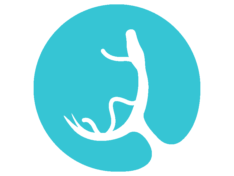 Donation