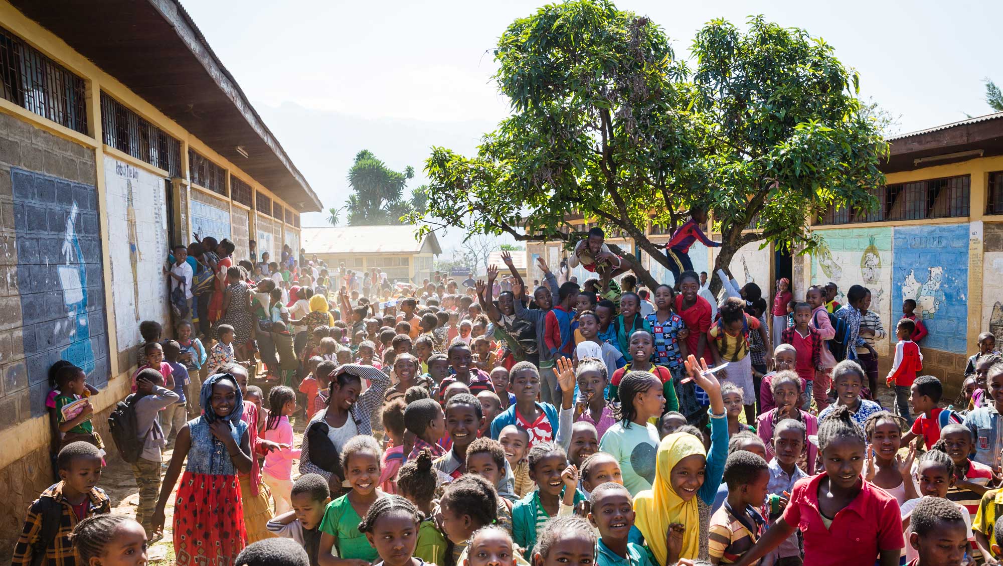 Bench Maji Schistosomiasis