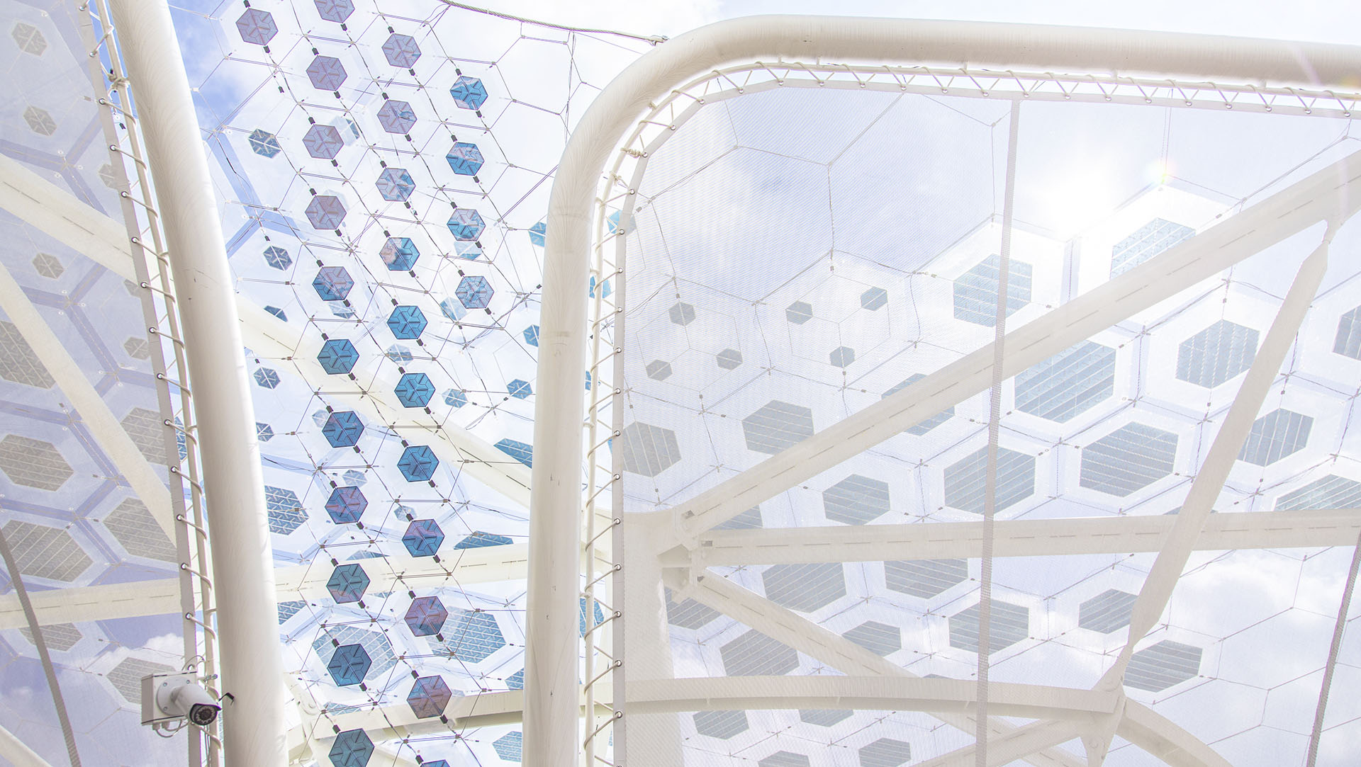 The solar trees “grow” out of the interior of the pavilion.