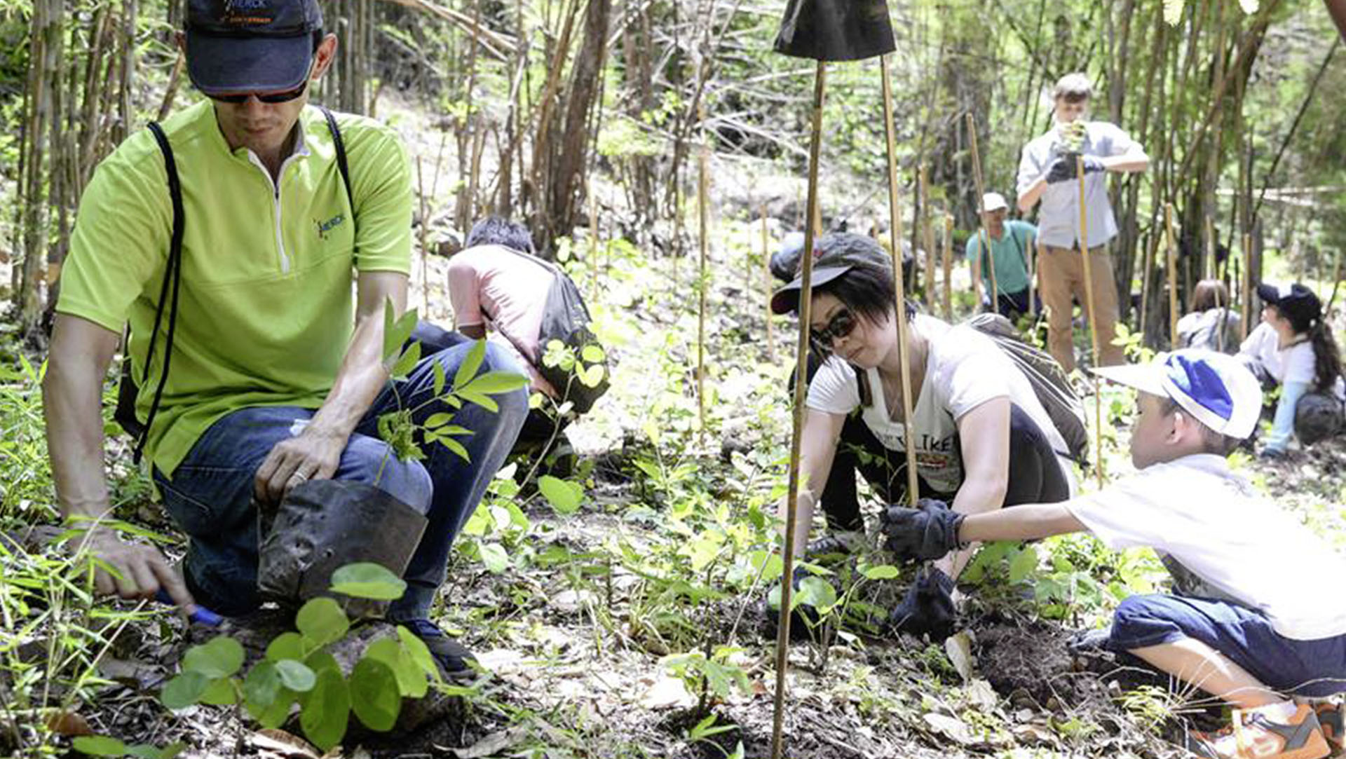 About 80,000 trees have been planted in Thailand in recent years by Merck KGaA, Darmstadt, Germany.