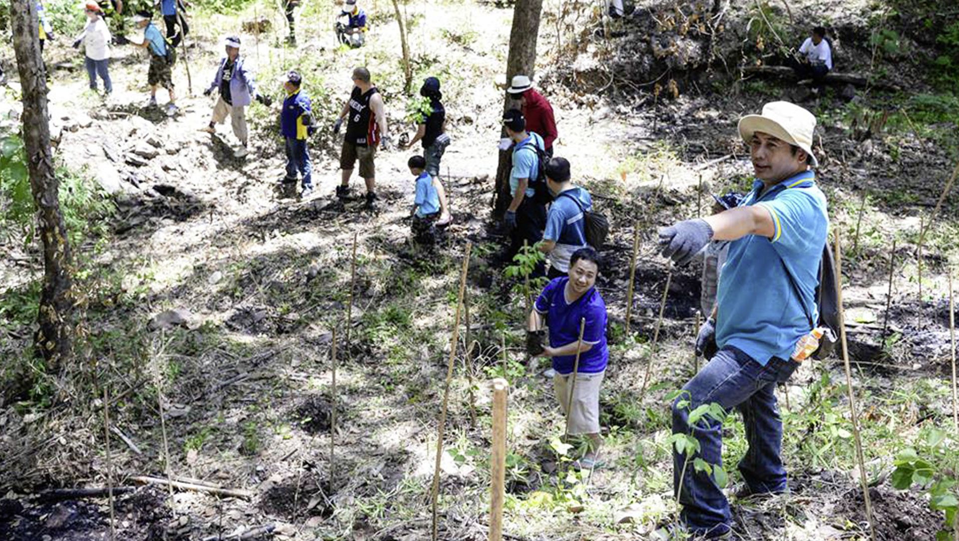 The project aims not only to plant new trees but also to increase the participants’ awareness of the need for a sustainable lifestyle.