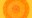 How a carrot looks in the middle